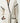 Beige knitted robe with black trim at collar, sleeve, and pocket