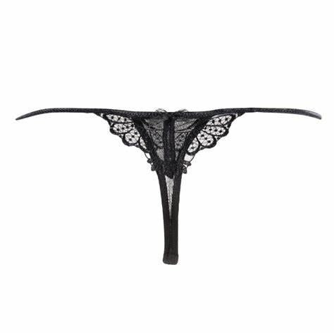 Embroidered tulle brief
